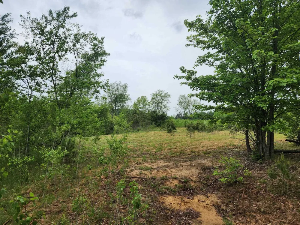 5948 Kniss Road Oliver Township, MI 49646