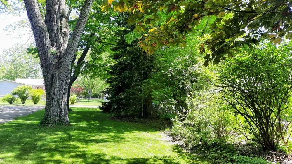 8052 Schroeder Street Onekama Village, MI 49675