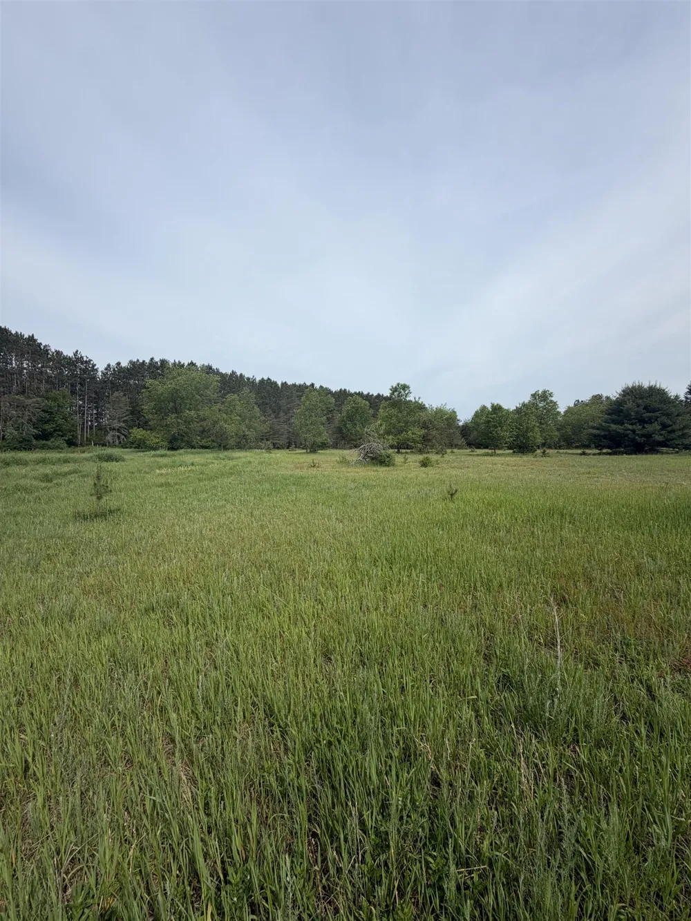 Pearl Street Colfax Township, MI 49683