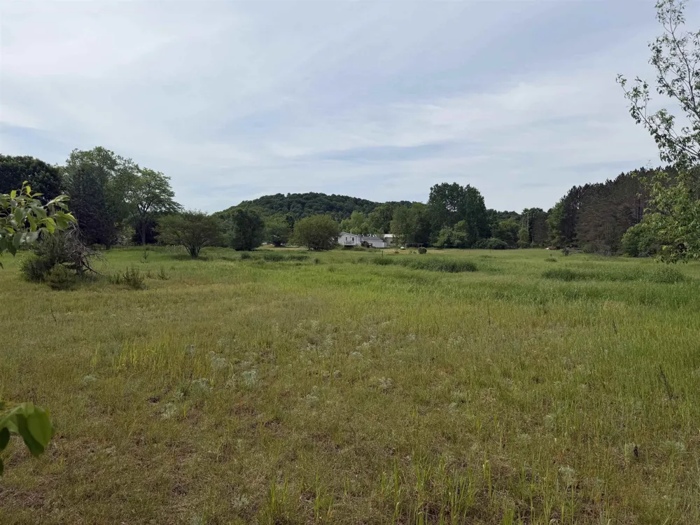 Pearl Street Colfax Township, MI 49683