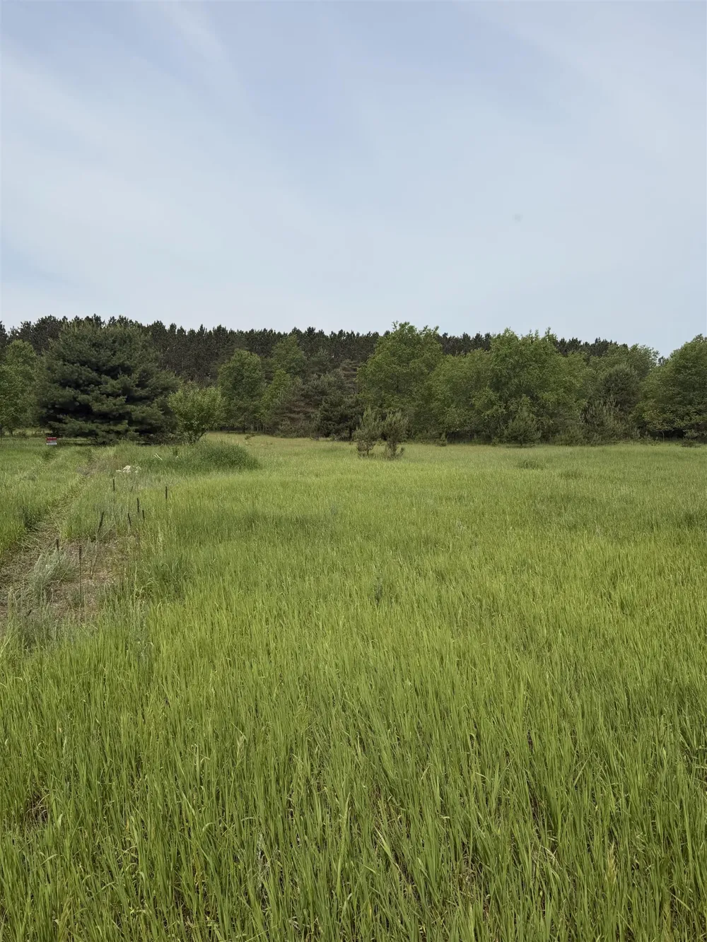 Pearl Street Colfax Township, MI 49683