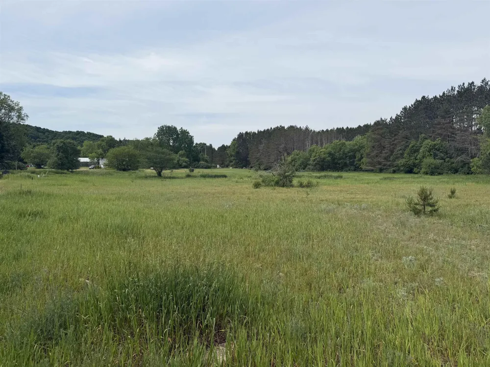 Pearl Street Colfax Township, MI 49683