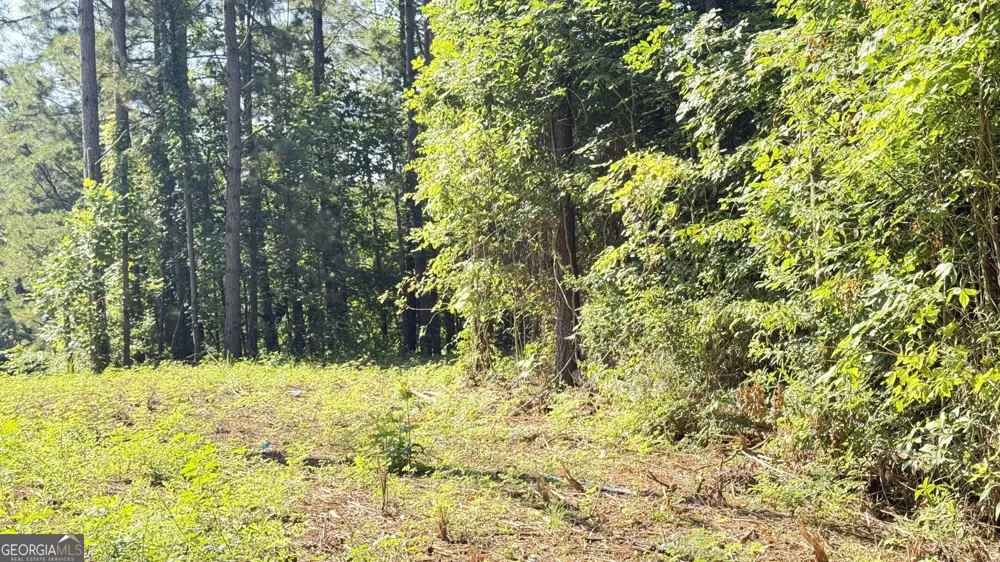 8 Sweetwater BND Villa Rica, GA 30180