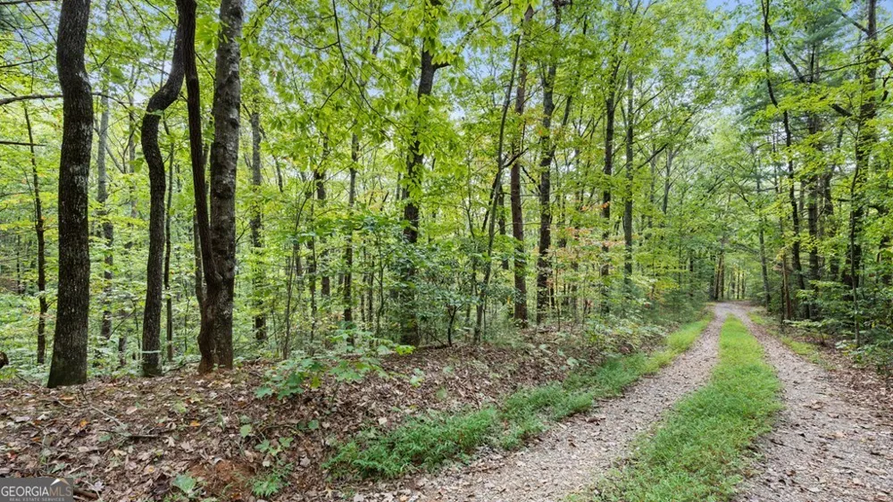 23 C Double Knob Cherry Log, GA 30522