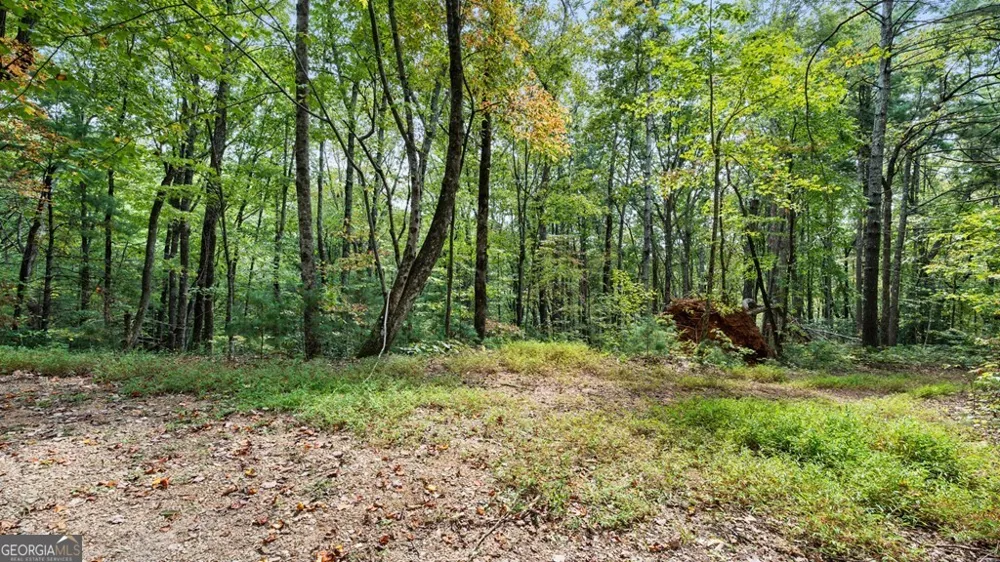 23 C Double Knob Cherry Log, GA 30522