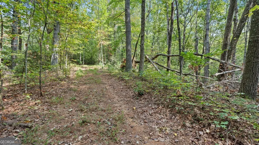 23 C Double Knob Cherry Log, GA 30522