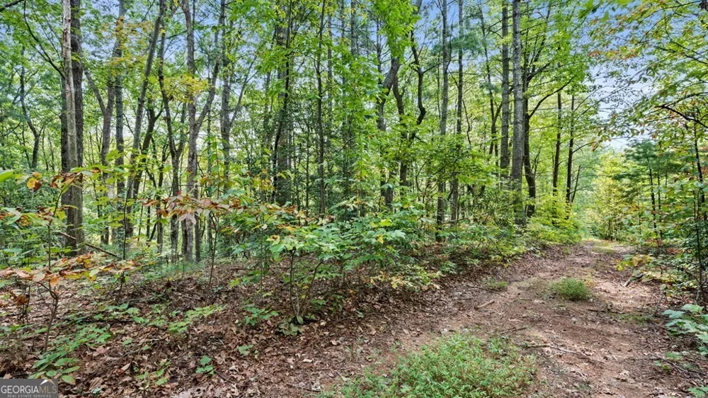 23 C Double Knob Cherry Log, GA 30522