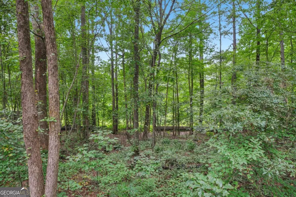 0 Bill Rutledge RD Winder, GA 30680