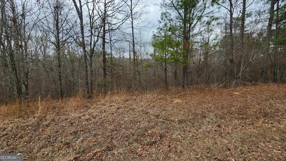 0 Ethridge PL Gray, GA 31032