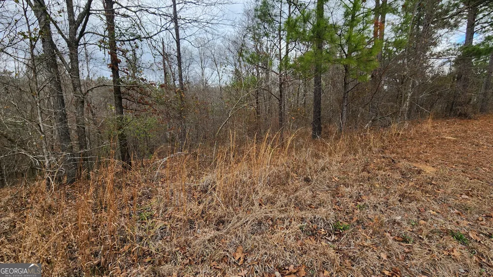 0 Ethridge PL Gray, GA 31032