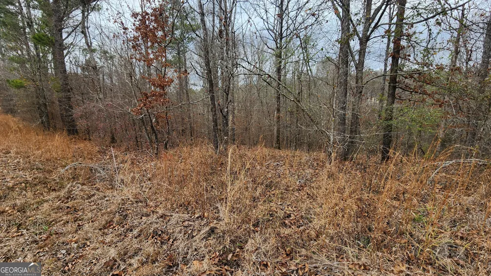 0 Ethridge PL Gray, GA 31032