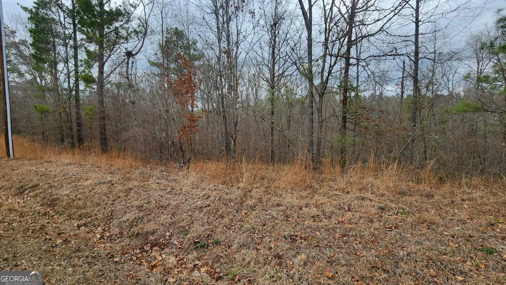 0 Ethridge PL Gray, GA 31032