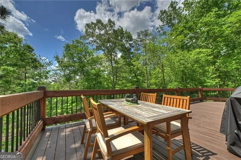346 Logan DR Mineral Bluff, GA 30559