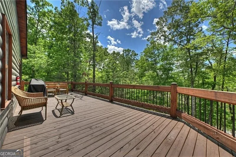 346 Logan DR Mineral Bluff, GA 30559
