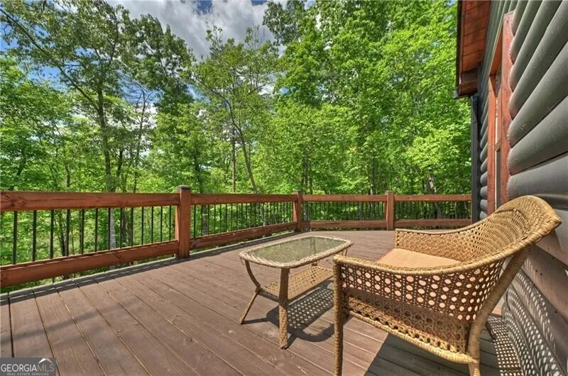 346 Logan DR Mineral Bluff, GA 30559
