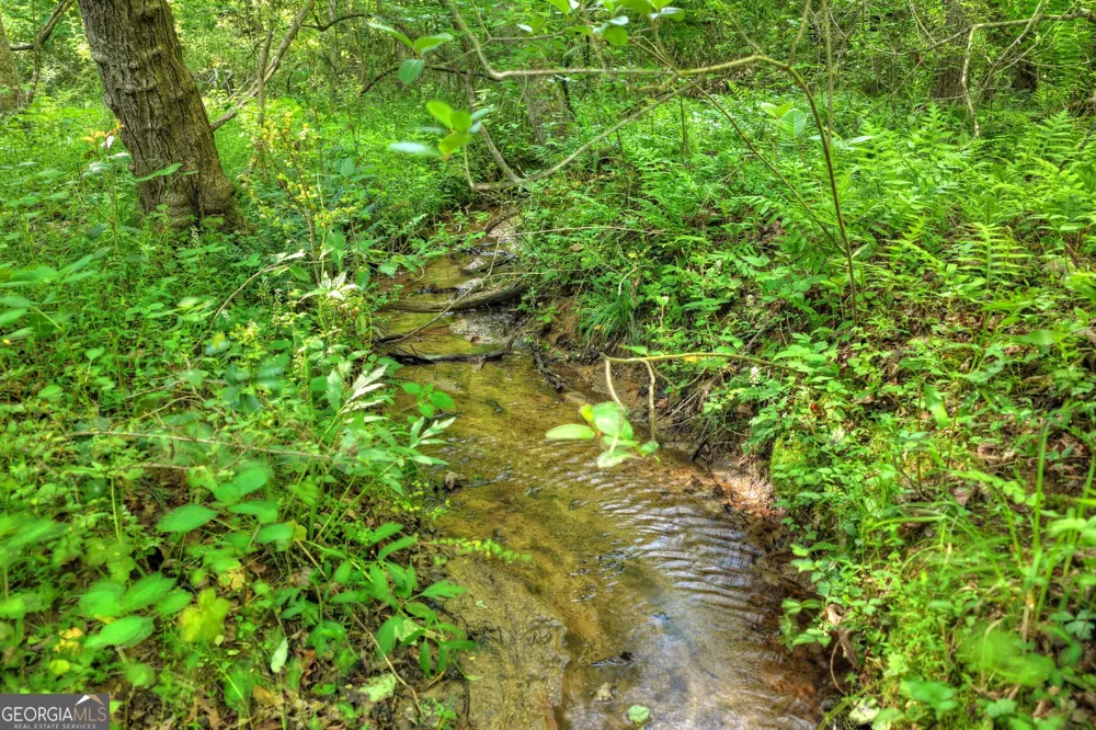8 AC McNelley RD Morganton, GA 30560
