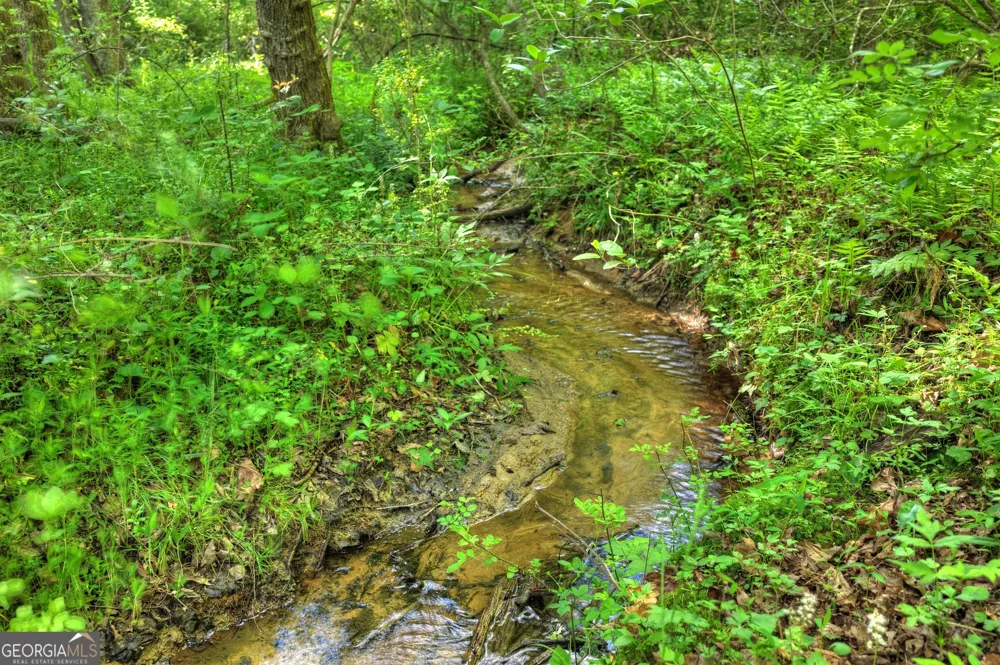 8 AC McNelley RD Morganton, GA 30560