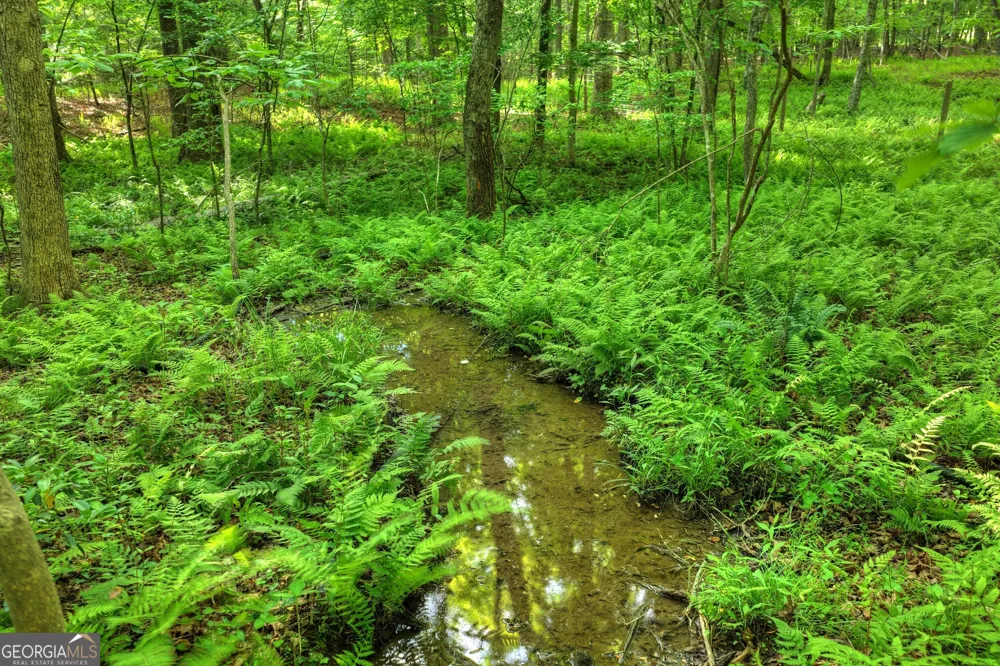 8 AC McNelley RD Morganton, GA 30560