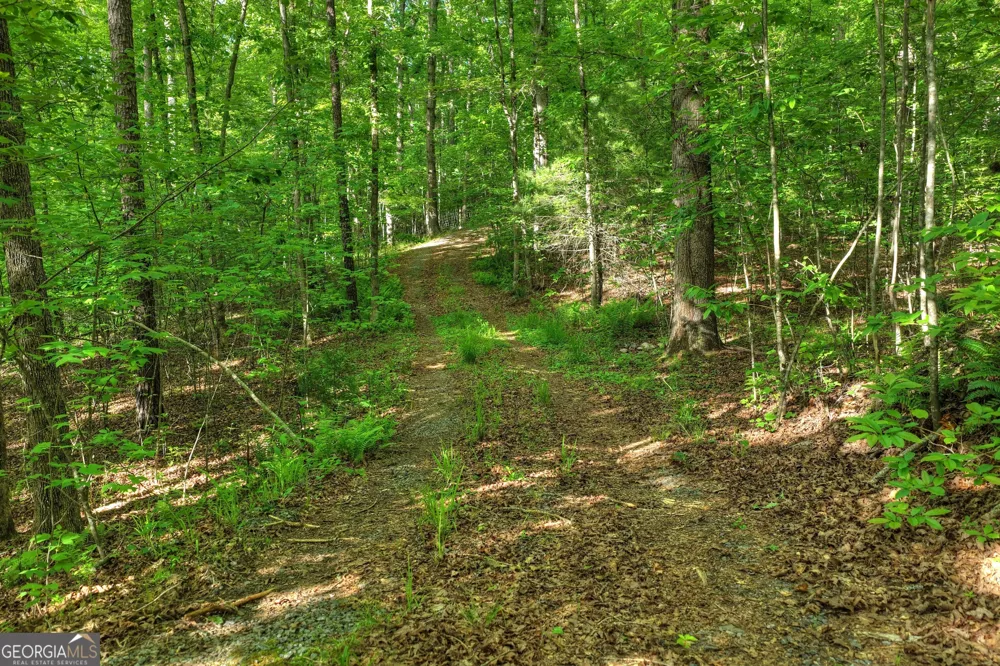8 AC McNelley RD Morganton, GA 30560