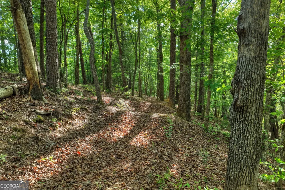 8 AC McNelley RD Morganton, GA 30560