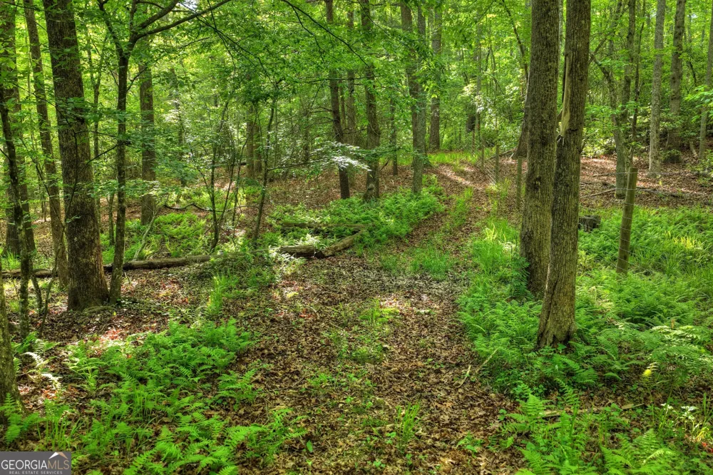 8 AC McNelley RD Morganton, GA 30560
