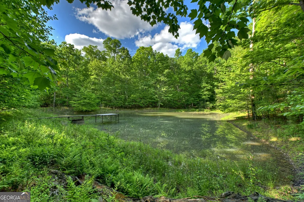 8 AC McNelley RD Morganton, GA 30560