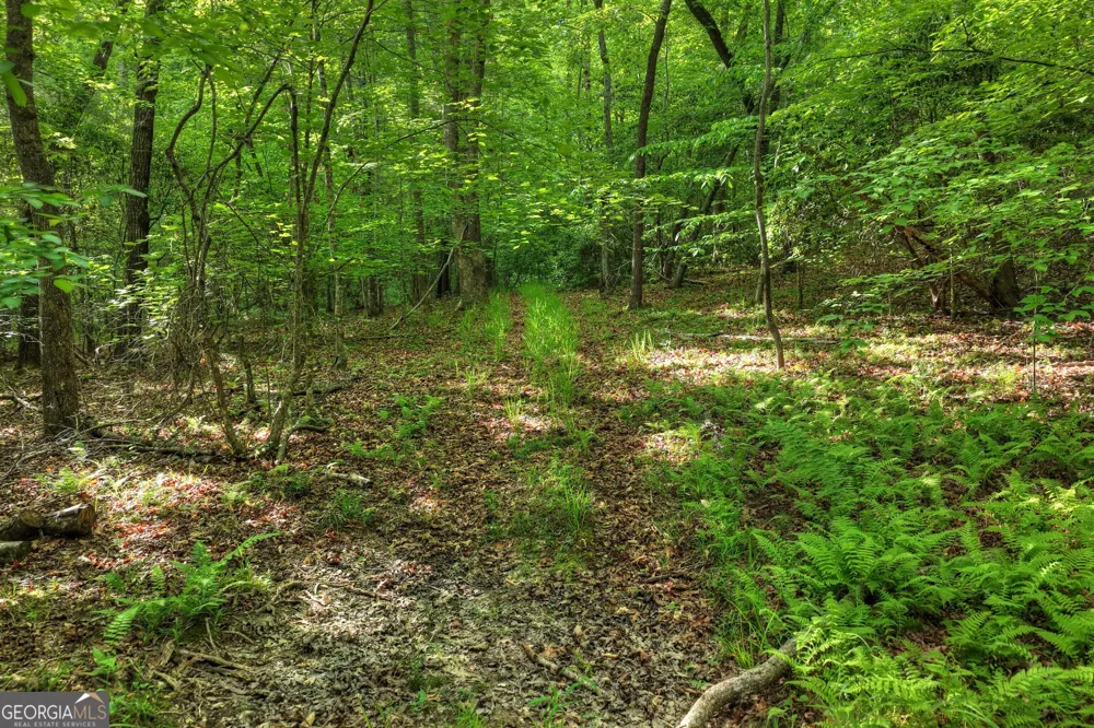8 AC McNelley RD Morganton, GA 30560