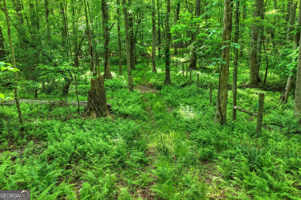 8 AC McNelley RD Morganton, GA 30560