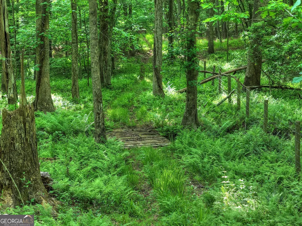 8 AC McNelley RD Morganton, GA 30560
