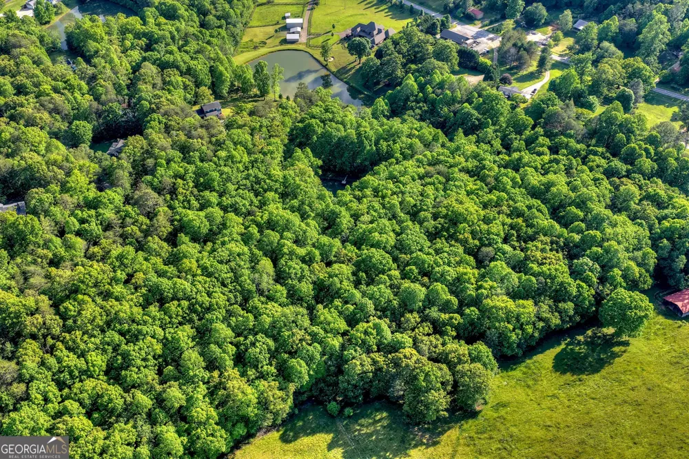 8 AC McNelley RD Morganton, GA 30560