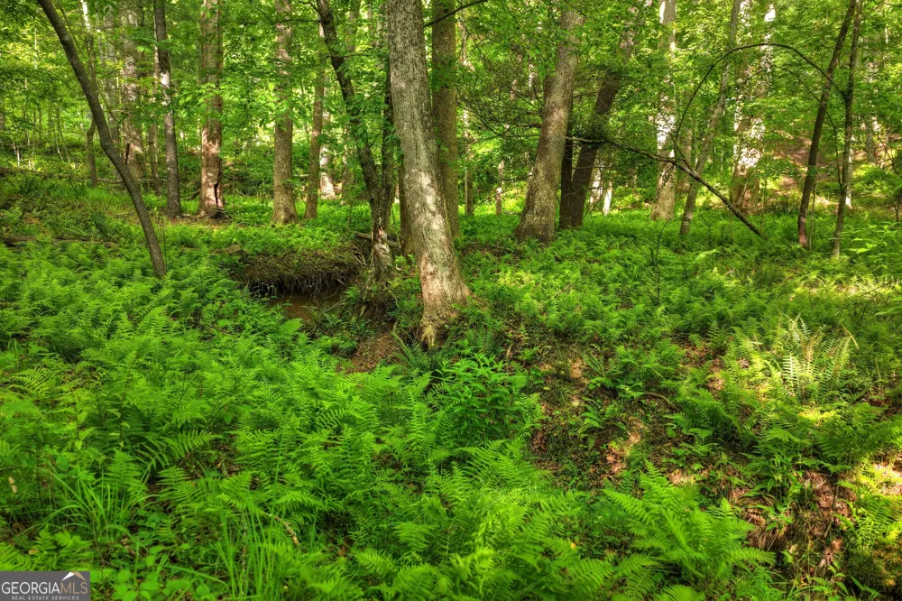 8 AC McNelley RD Morganton, GA 30560
