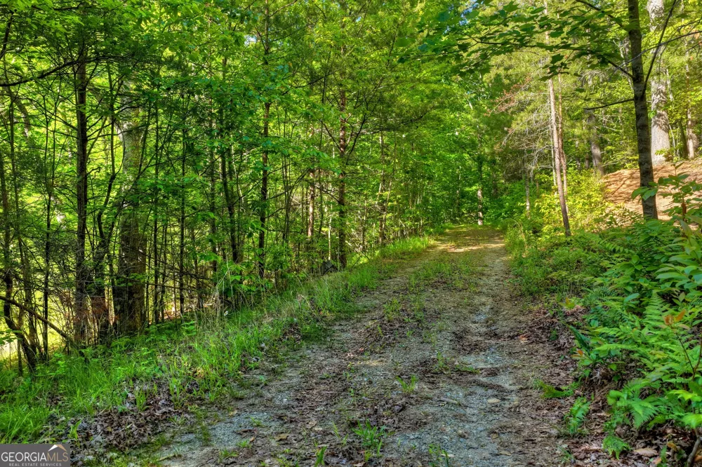 8 AC McNelley RD Morganton, GA 30560