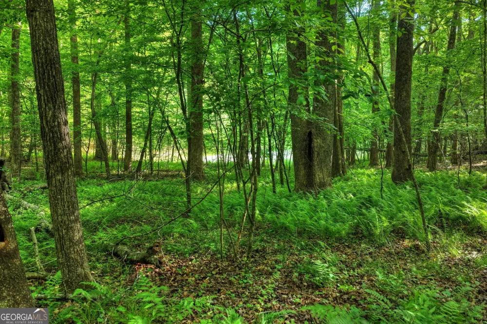 8 AC McNelley RD Morganton, GA 30560