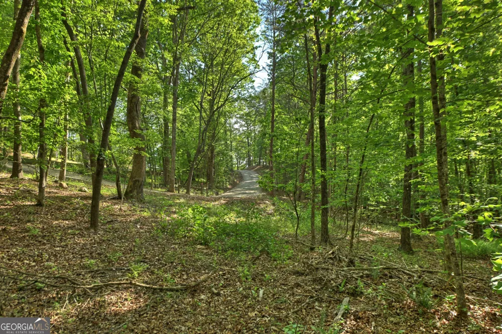 8 AC McNelley RD Morganton, GA 30560