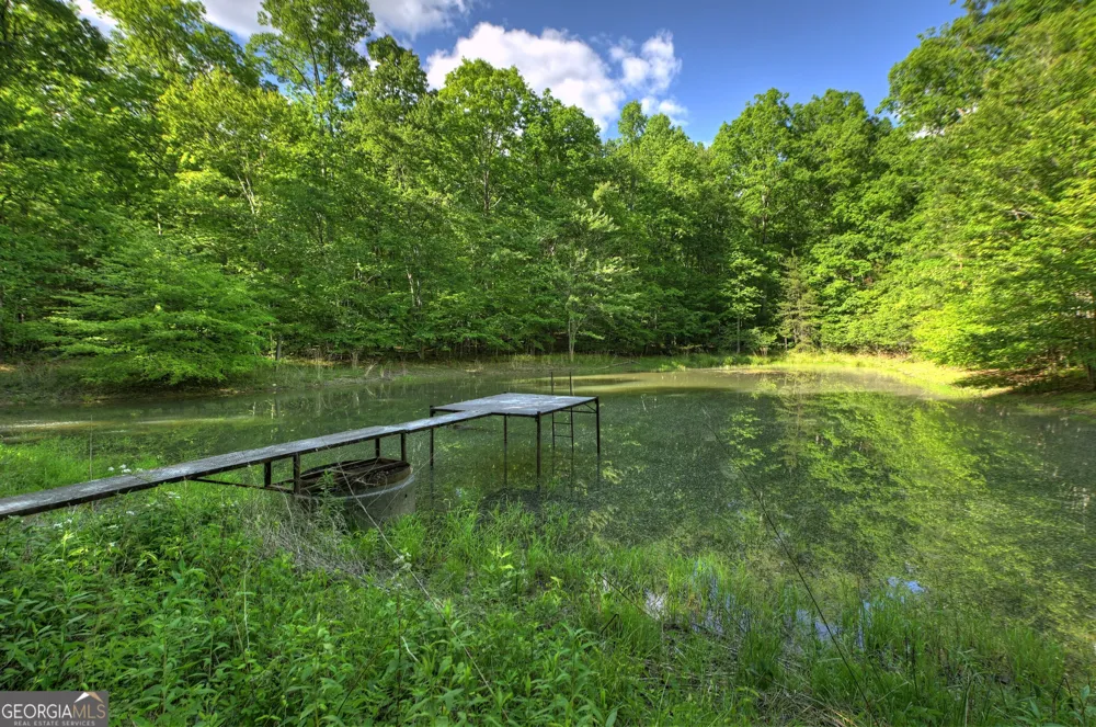 8 AC McNelley RD Morganton, GA 30560