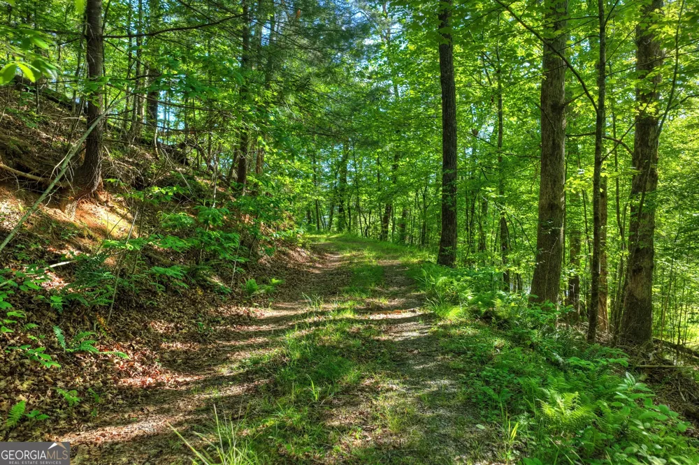 8 AC McNelley RD Morganton, GA 30560