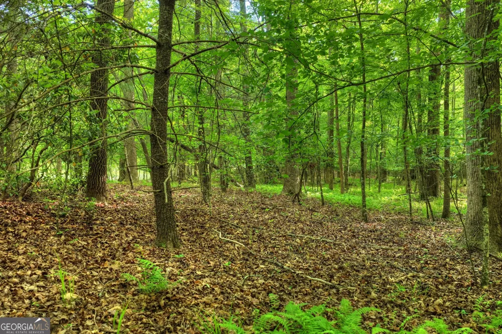 8 AC McNelley RD Morganton, GA 30560