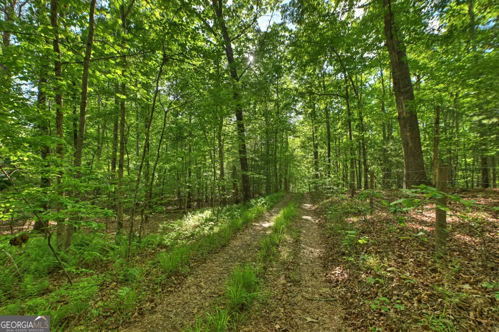 8 AC McNelley RD Morganton, GA 30560