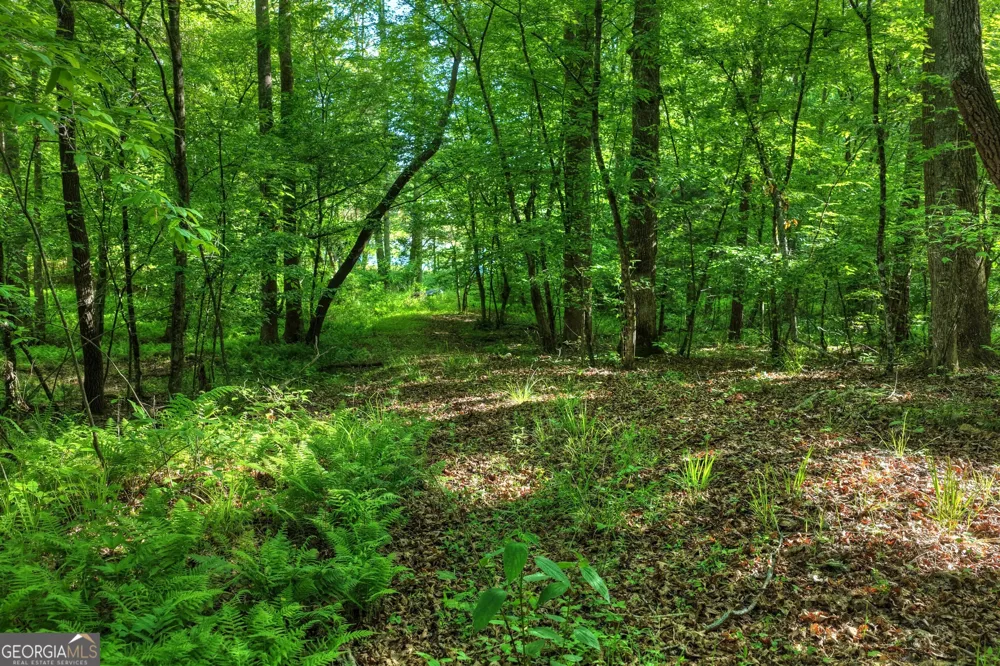 8 AC McNelley RD Morganton, GA 30560