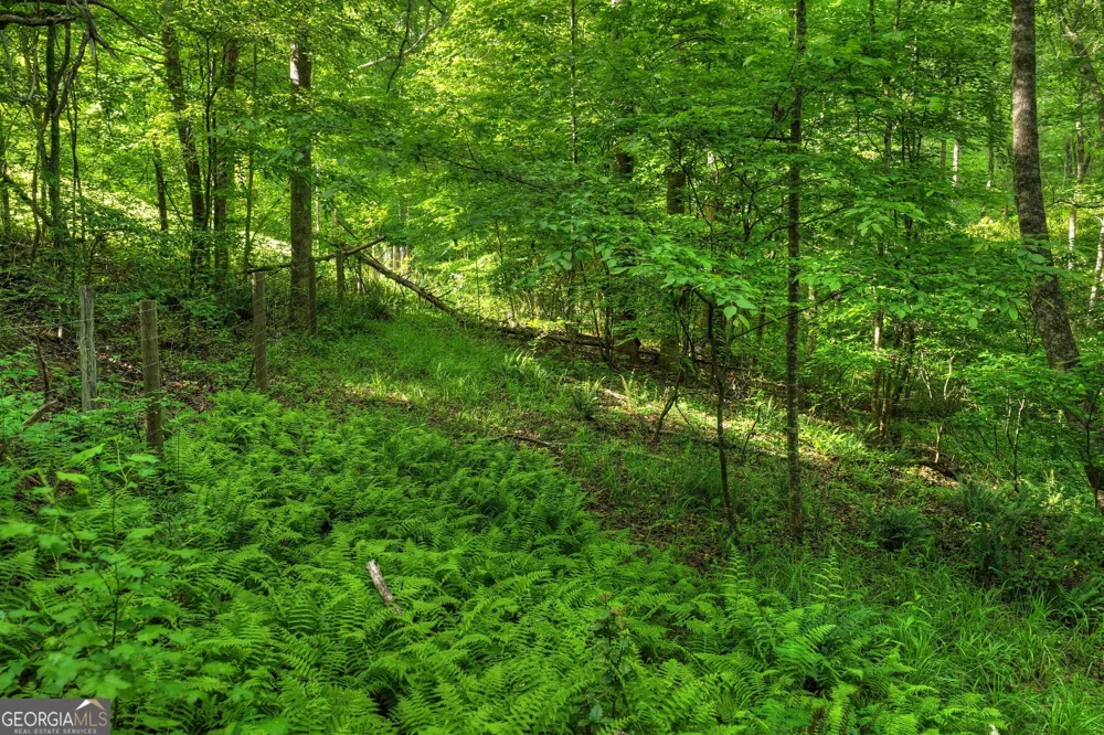 8 AC McNelley RD Morganton, GA 30560