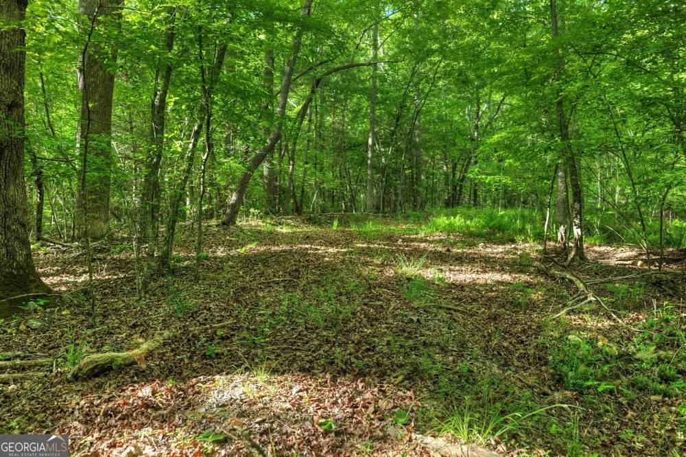 8 AC McNelley RD Morganton, GA 30560