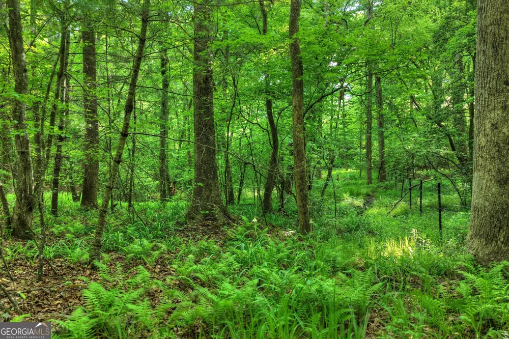 8 AC McNelley RD Morganton, GA 30560