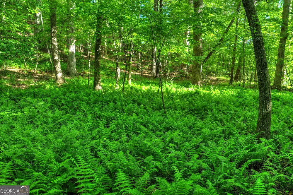 8 AC McNelley RD Morganton, GA 30560