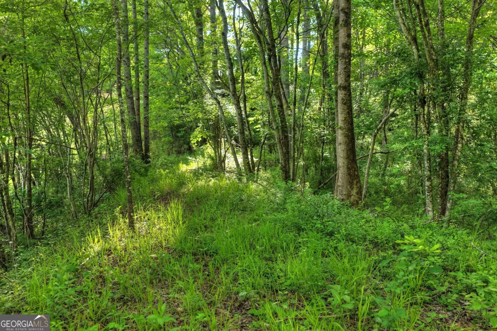 8 AC McNelley RD Morganton, GA 30560