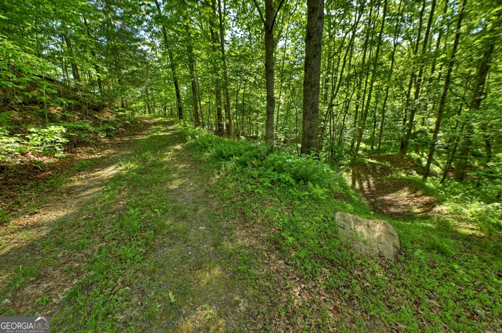 8 AC McNelley RD Morganton, GA 30560