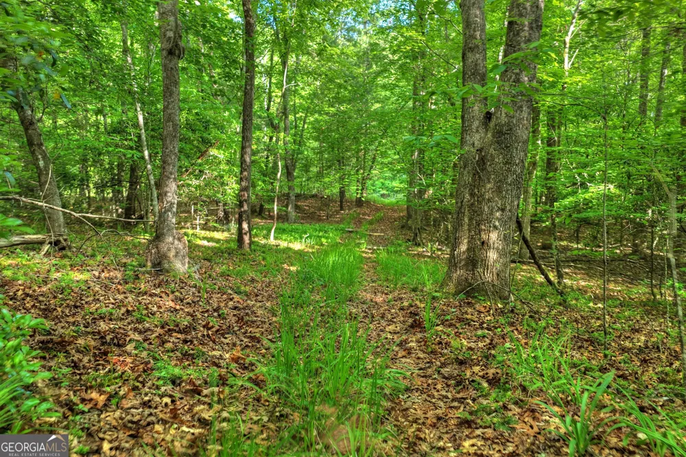8 AC McNelley RD Morganton, GA 30560