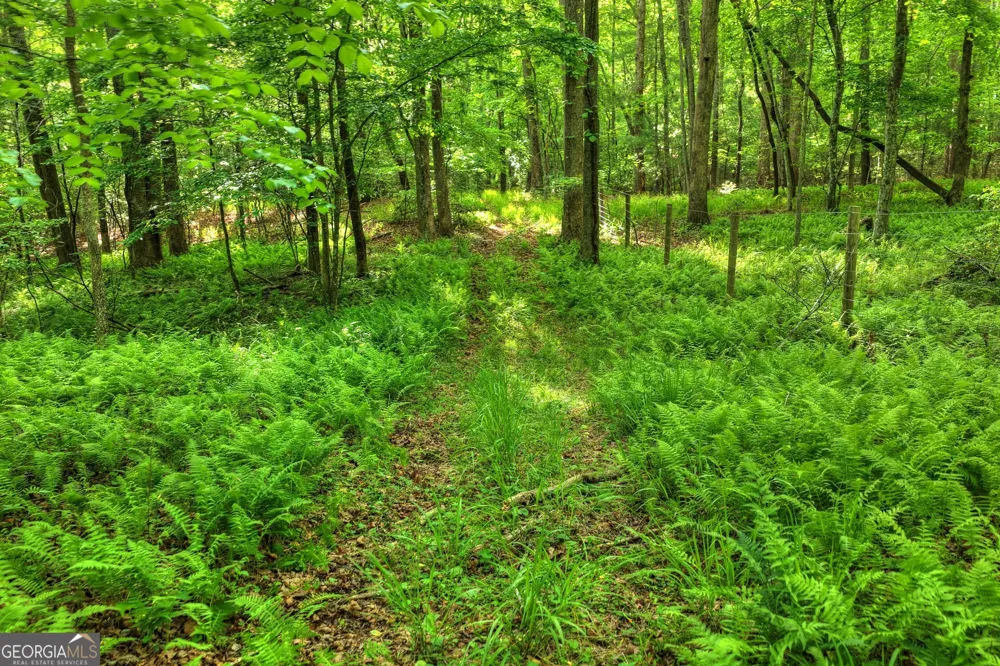 8 AC McNelley RD Morganton, GA 30560