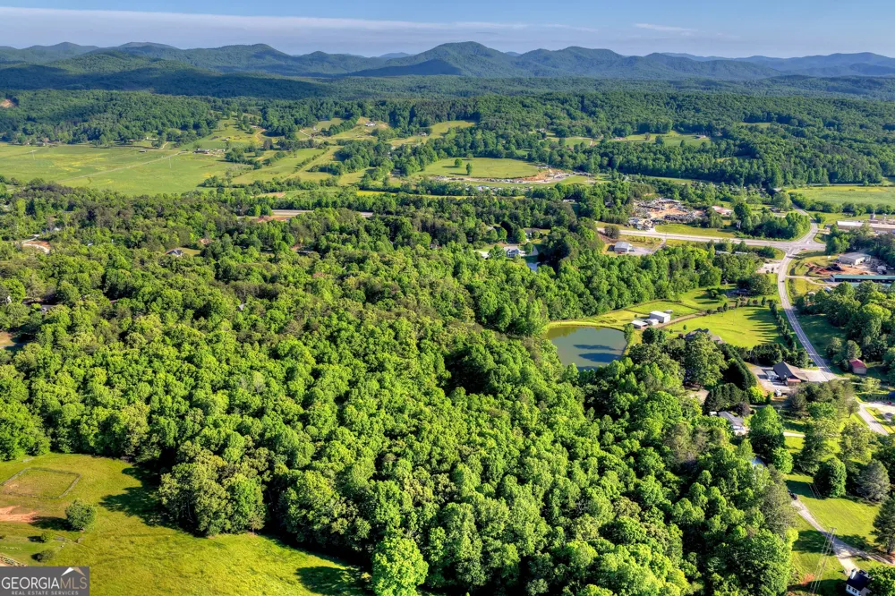 8 AC McNelley RD Morganton, GA 30560