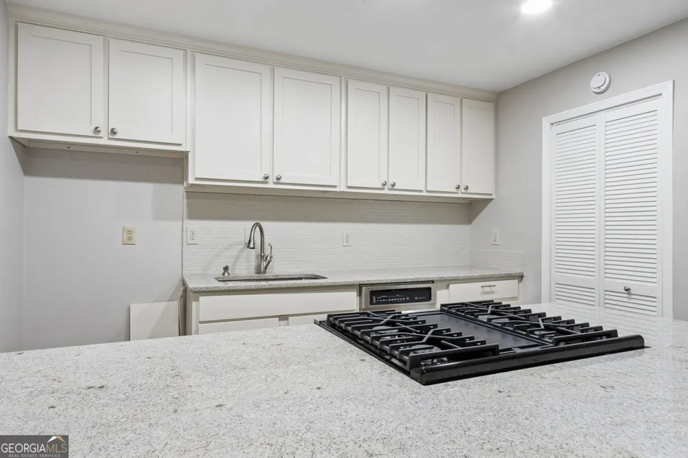 107 River Mill CIR Roswell, GA 30075