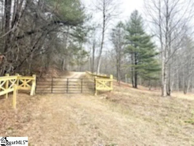 0 Green River Road Zirconia, NC 28790